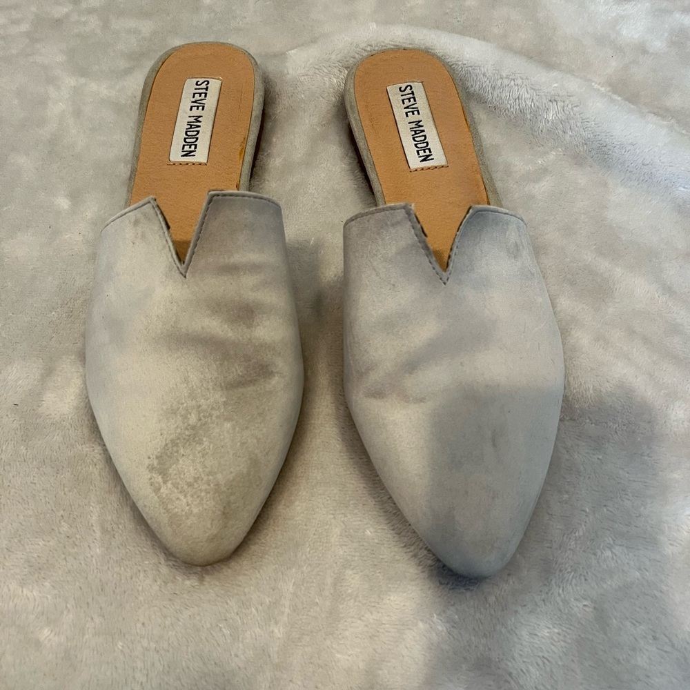 Light gray suede mule Steve Madden